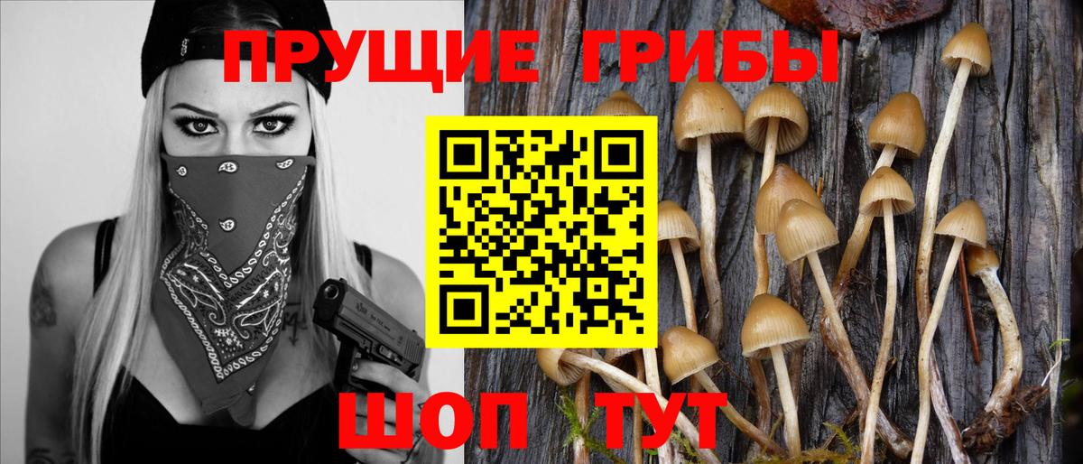 Псилоцибиновые грибы мицелий  Вход с VPN  Солнечногорск 